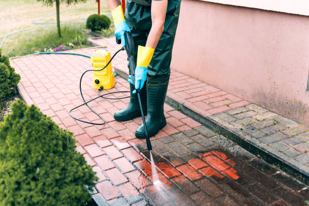 Animal Enclosure Cleaning in Covington, TN